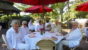 Lima Estates Lawn Party