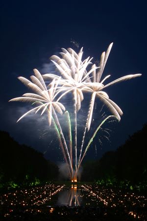 Fireworks.png