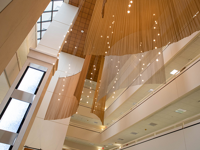 Contemporary Architecture.png