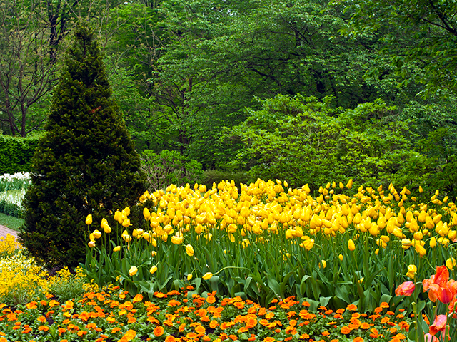 Longwood Gardens.png