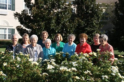Magnolia Trace Petals Group