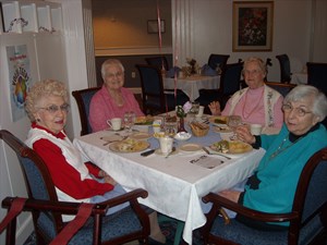 Fort Washington Estates Volunteers