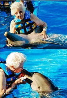 betty sperow dolphin