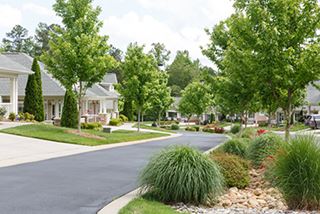 Park Pointe Village Thumbnail