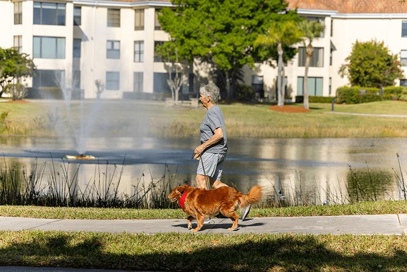 IRE Woman Walking Dog