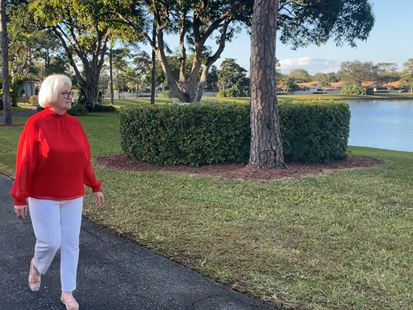 Saedianebrowntravelbuc4x3