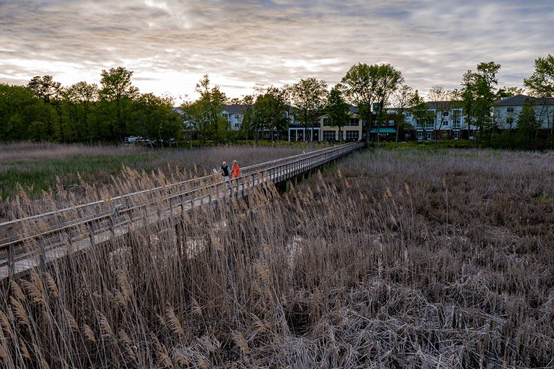 Heron Point Aerials-03.png