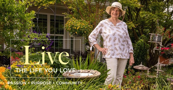 Willow Brooke Court at Park Pointe Village photo 9