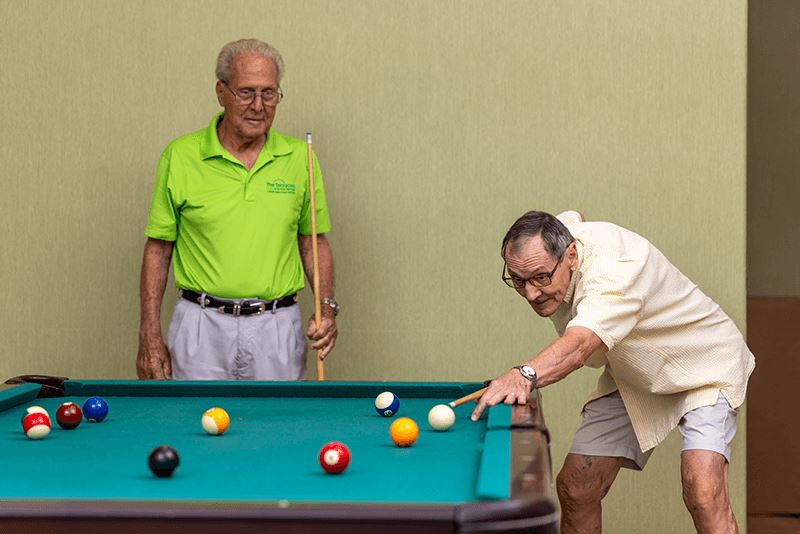 TBS Billiards Players