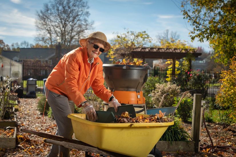 Margo, The Evergreens