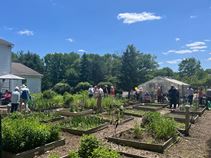 EG Garden Party 4X3