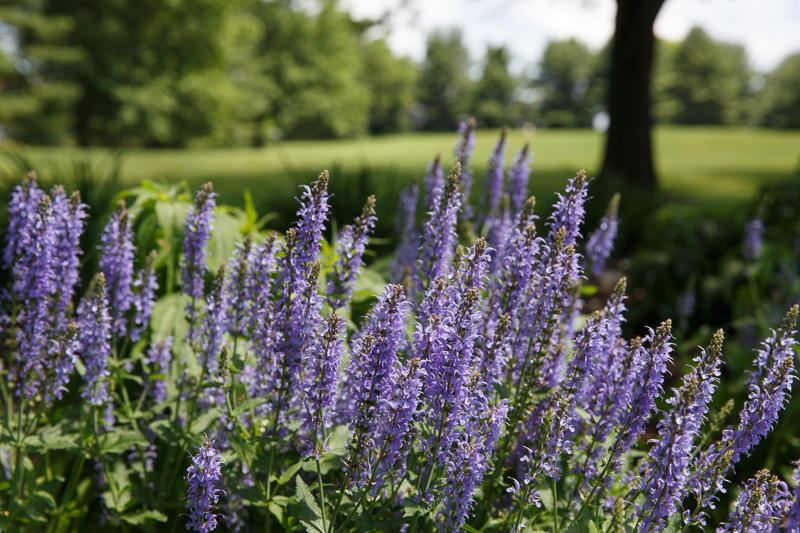 Southhampton Estates-web-208.jpg