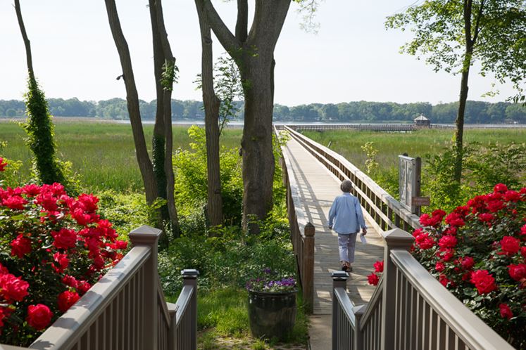 Heron Point-web-19.jpg