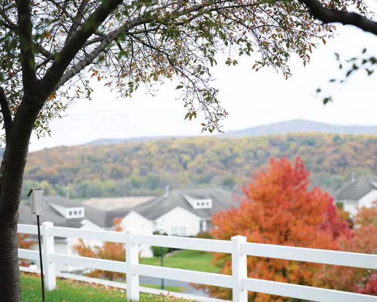 Integrace Official_Middle Callout.png