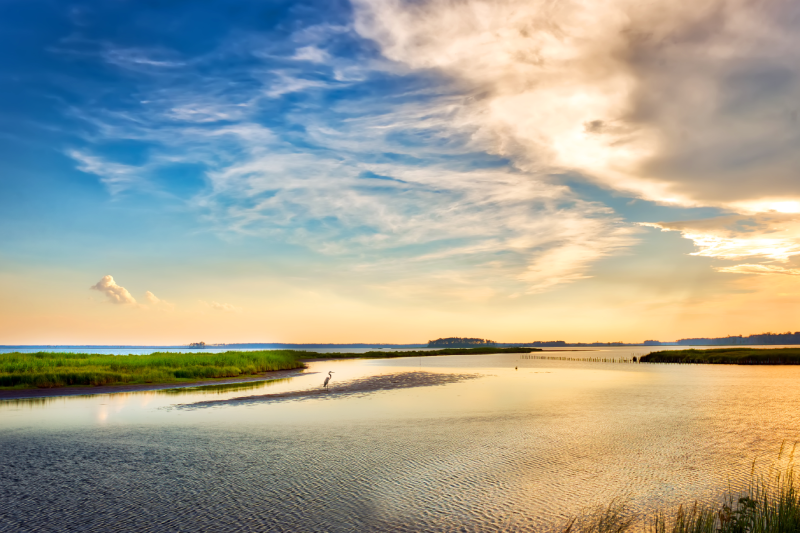 Maryland Eastern Shore