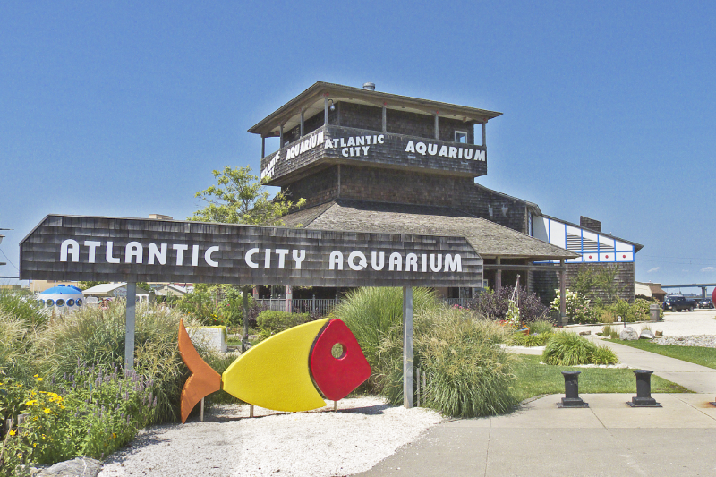 Atlantic City Aquarium