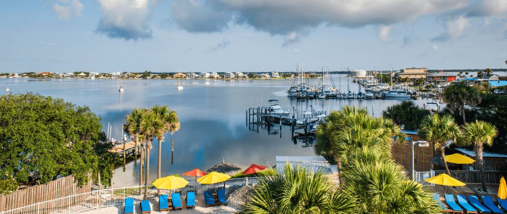 Azalea Trace_resources-header.png