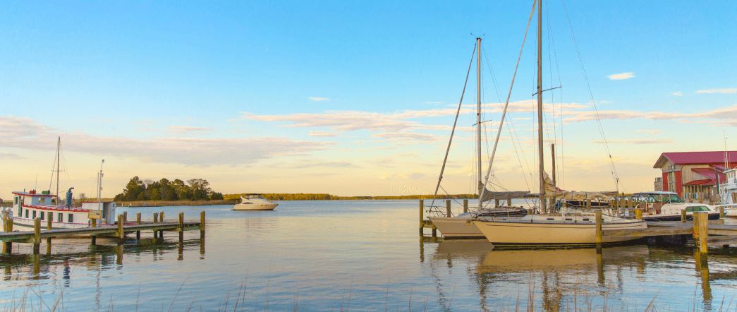 Bayleigh Chase_resources-header.png