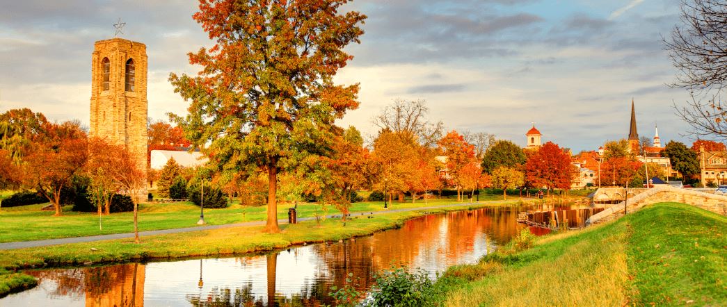 Buckingham's Choice_resources-header.png