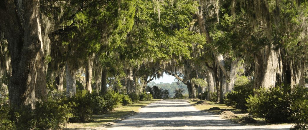 Lanier Village Estates_resources-header.png