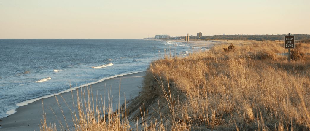 Manor House_resources-header.png