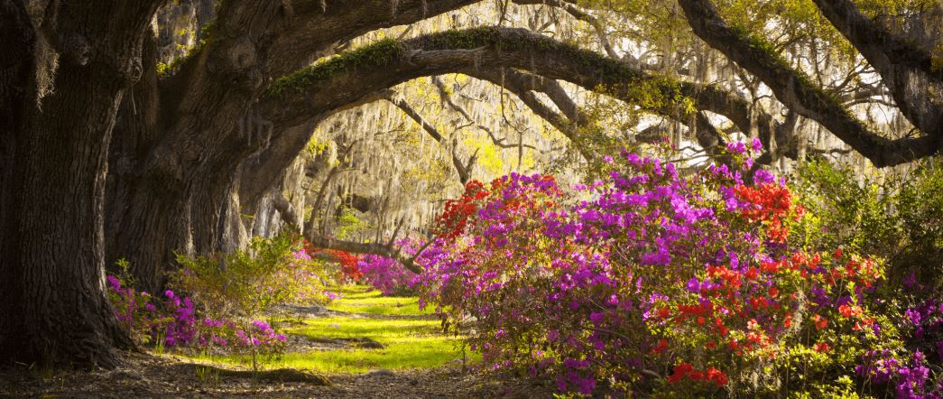 Park Pointe Village_resources-header.png