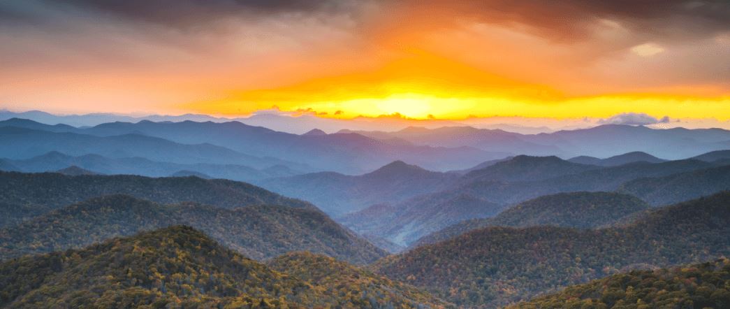 Tryon Estates_resources-header.png