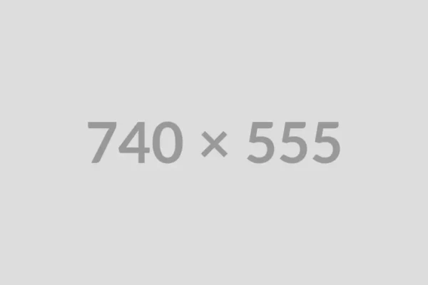 Grey placeholder image with the dimensions "740 x 555" displayed in the center.