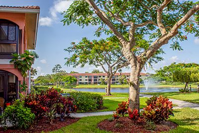 A landscaped garden with tropical plants, a large tree, walking paths, lakeside apartments, and a water fountain under a partly cloudy sky.