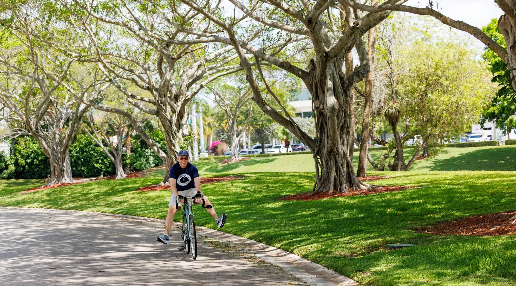 Person rides a bicycle on a curved path through a park with large trees and green grass on a sunny day.