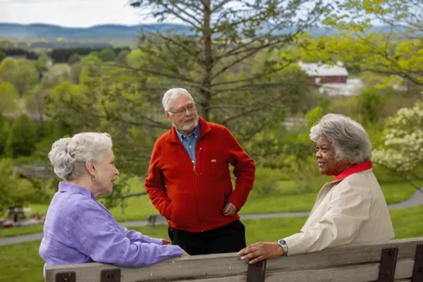 Three older adults sit and stand near a wooden bench outdoors, talking and surrounded by green trees and hills under a cloudy sky.