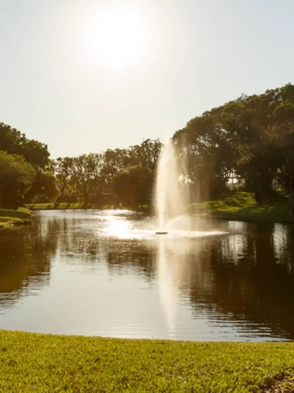A water fountain sprays in the center of a calm pond surrounded by green grass and trees under a bright sun.