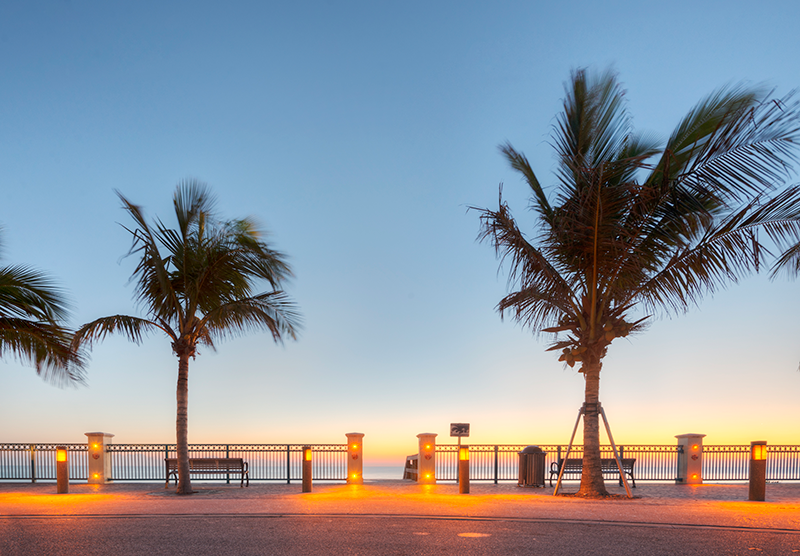 Palm trees line a promenade with benches and a railing, overlooking the ocean at sunrise or sunset under a clear sky.