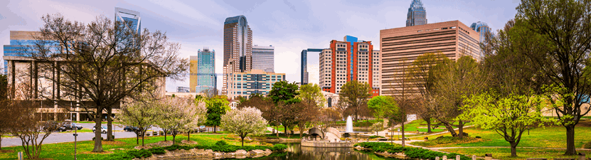 City skyline with modern and tall buildings behind a green park with trees, a small pond, and a bridge in the foreground under a partly cloudy sky.