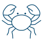 Simple line drawing of a crab with two claws raised, six legs, and two small eyes on a light background.