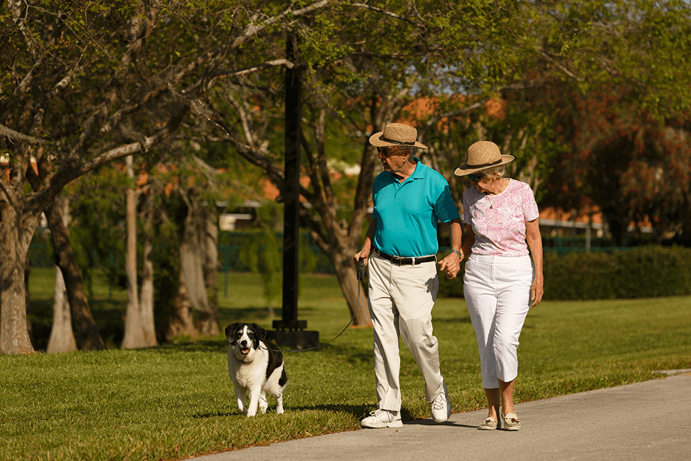 An elderly couple wearing hats walks hand in hand on a park path with a black and white dog on a sunny day. Trees and grass surround them.