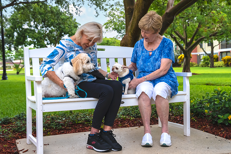 Two older women sit on a white bench outdoors, each holding a small dog. They are surrounded by green grass, trees, and a building in the background.