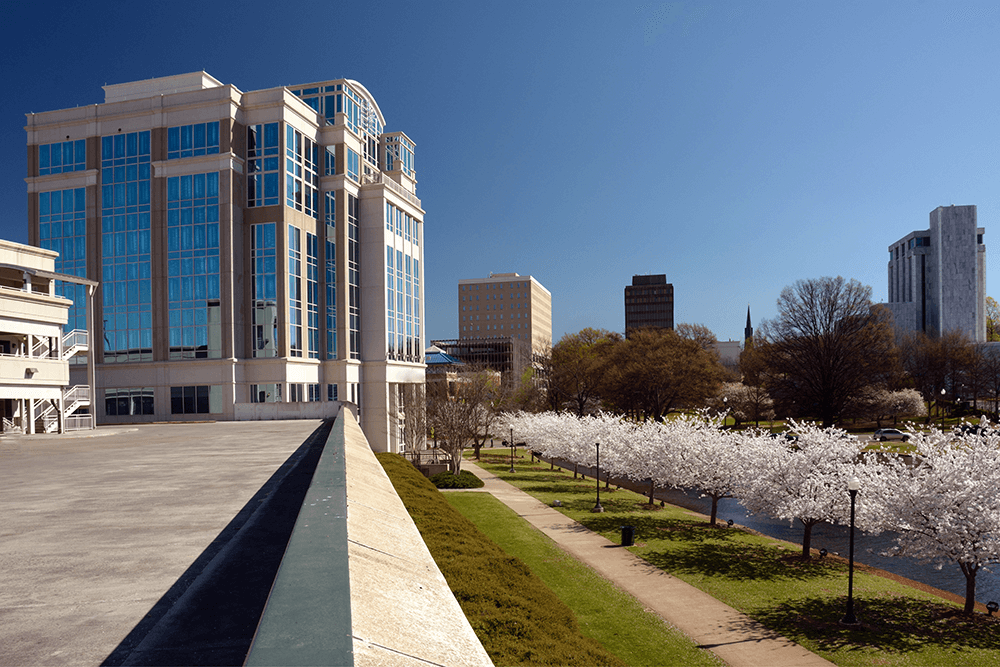 Modern office buildings and blooming trees line a walkway beside a canal under a clear blue sky in an urban setting.